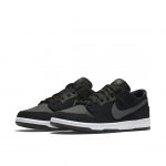 Nike Dunk Low IW Black Light Graphite