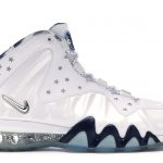 Nike Barkley Posite Max USA