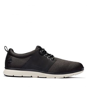 Timberland Killington Oxford Schwarz (A1XZW001)