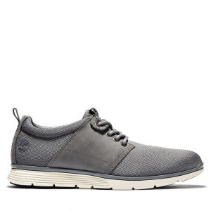 Timberland Killington Oxford Grau (A1Y18033)