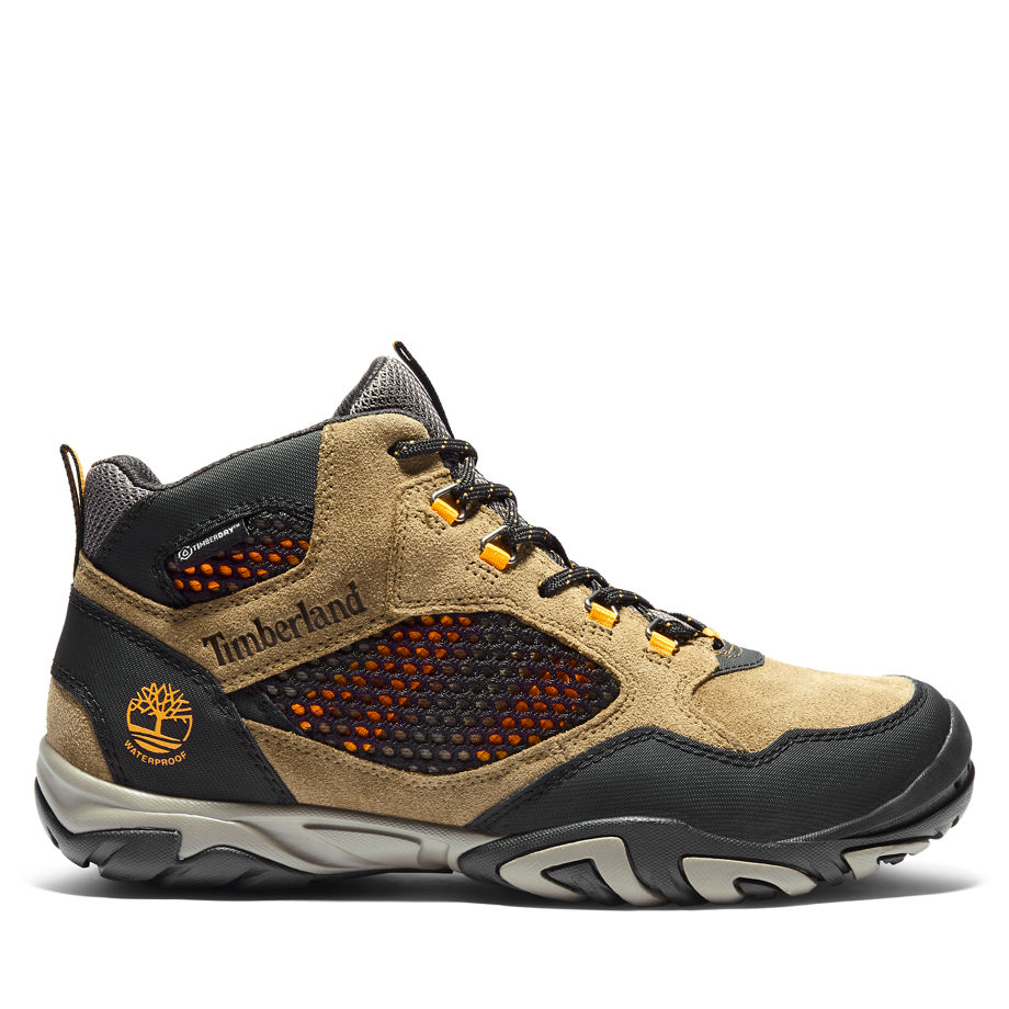 timberland-sneaker A2977288