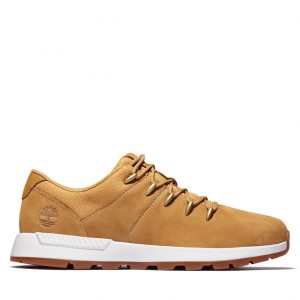 Timberland Bartlett Ridge Wanderschuh Schwarz (A26HMH37)