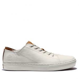 Timberland Adventure 2.0 Cupsole Sneake Weiß (A2AN8L77)