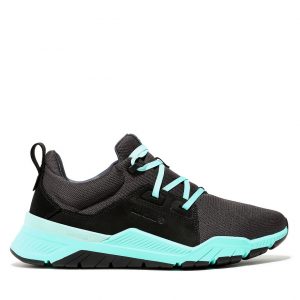Timberland Field Trekker Performance Schuh Schwarz (A2ESB126)