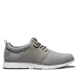 Timberland Killington Oxford Grau (A2J5SF49)