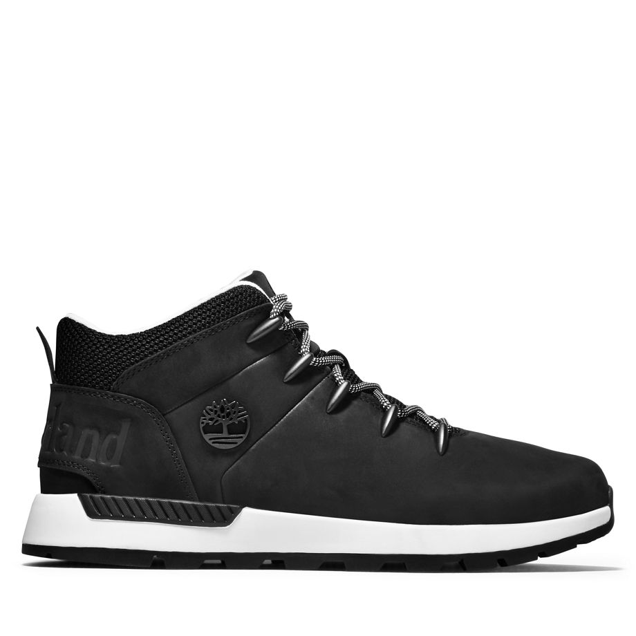 timberland-sneaker A2599P01