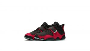 Air Jordan Black Cat Bred