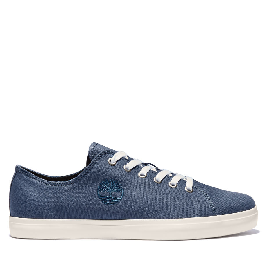 timberland-sneaker A29MAE19