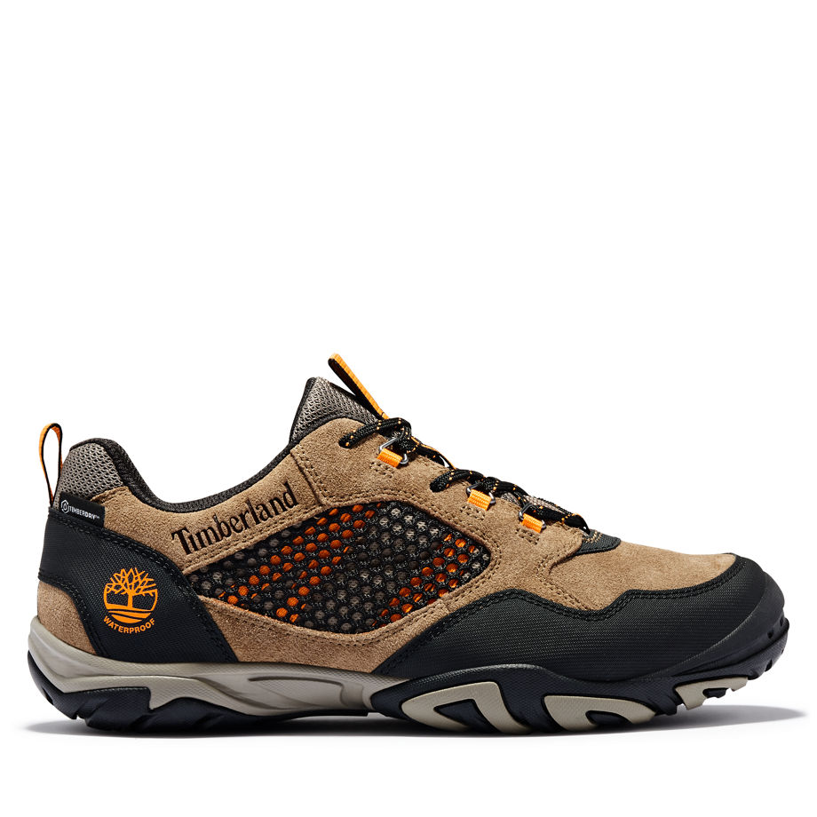timberland-sneaker A2565Y93
