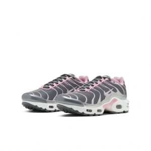 Nike Air Max Plus Grau (CD0609-008)