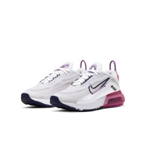 Nike Air Max 2090 Grau (CJ4066-003)