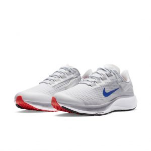 Nike Air Zoom Pegasus 37 FlyEase Grau (CK8446-004)