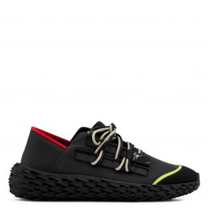 Giuseppe Zanotti Urchin (RM90037001)
