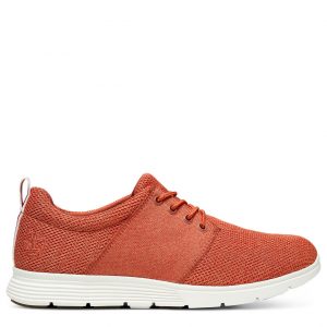 Timberland Bradstreet Chukka Rot (A21CW432)