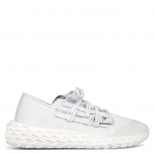 Giuseppe Zanotti Urchin (RU90006002)