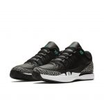 Nike x Air Jordan AJ III 3 Roger Federer RF ‚atmos‘ (2017) (709998-031)