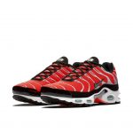 Nike Air Max Plus Team Orange Neptune Green