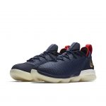Nike LeBron XIV Low Midnight Navy/Metallic Gold