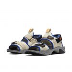 Nike Canyon Fossil