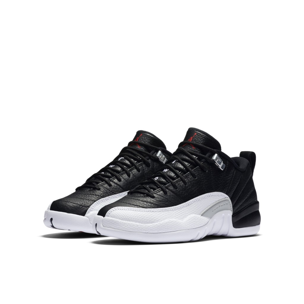 air-jordan-12 308305-004