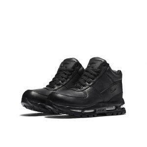 Nike Air Max Goadome Black (GS)