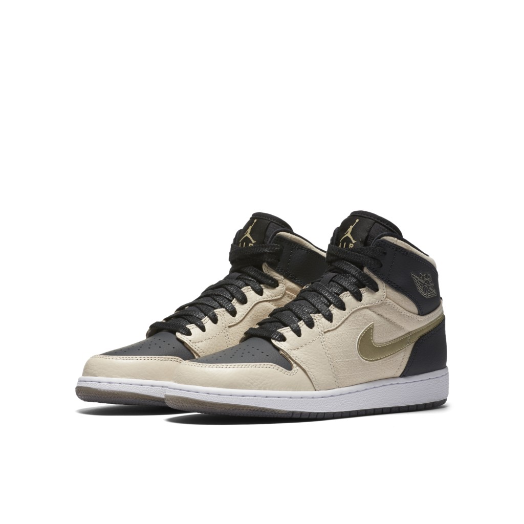 air-jordan-1 832596-209