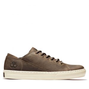 Timberland Adventure 2.0 Sneake Beige (A2FRR901)