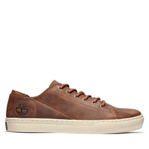 Timberland Adventure 2.0 Sneake Braun (A2HGEF13)