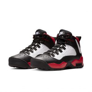 Nike Air Darwin Bulls