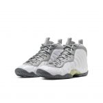 Nike Air Foamposite One Light Smoke Grey (GS)
