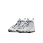 Nike Air Foamposite One Light Smoke Grey (PS)