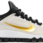 Nike Free Trainer 5.0 Paid In Full