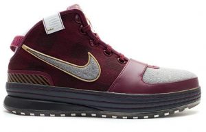 Nike LeBron 6 Wise