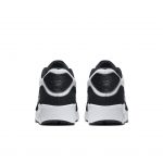 nike-air-max 875695-100