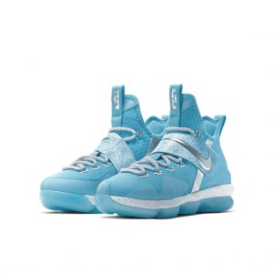 Nike LeBron 14 Ric Flair (GS)