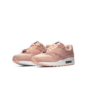 Nike Air Max 1 Have a Nike Day Bleached Coral (GS)