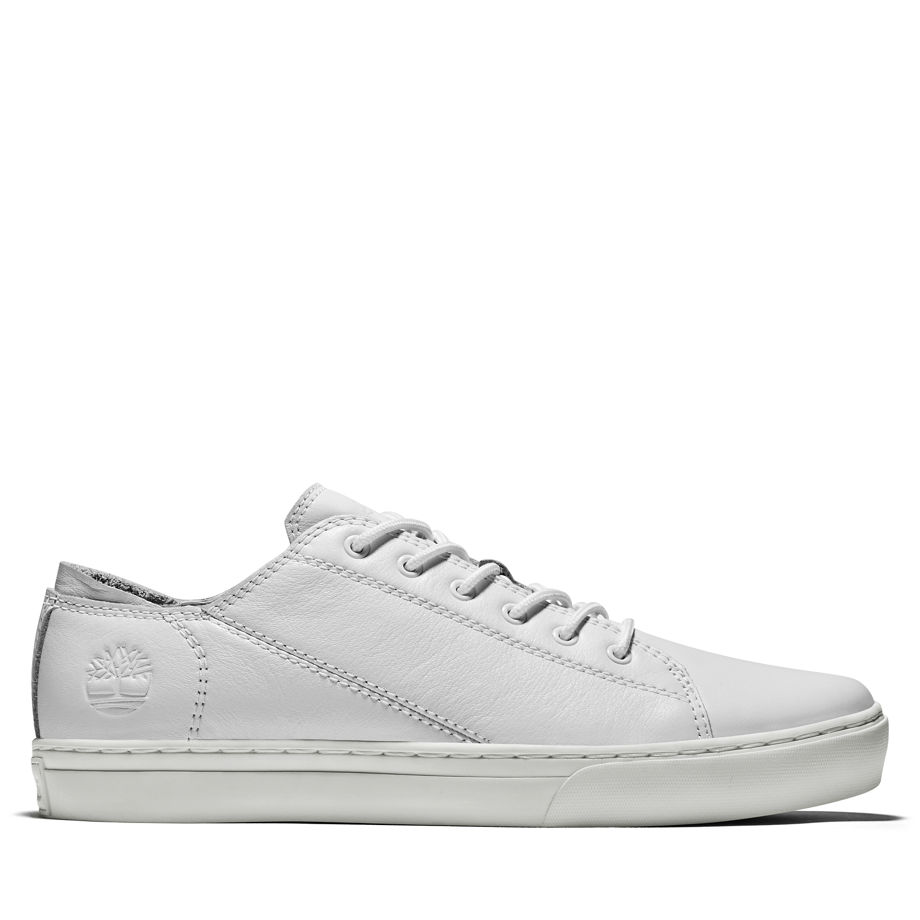 timberland-sneaker A1OJHY21