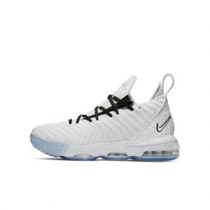 Nike LeBron 16 Equality 2019 (GS)