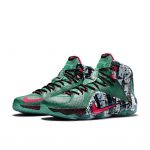 Nike LeBron 12 Akron Birch