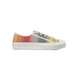 Dior Walk’N’Dior Multicolor (W)