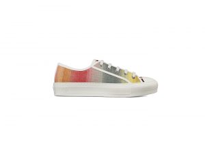 Dior Walk’N’Dior Multicolor (W)