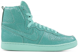 Nike Terminator Hi Swagger