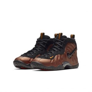 Nike Air Foamposite Pro Color Shift (GS)