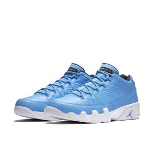 Jordan 9 Retro Low Pantone