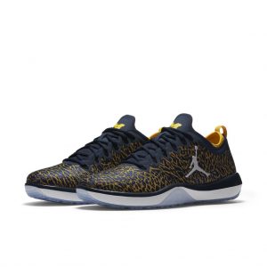 Jordan Trainer 1 Low Michigan