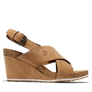 Timberland Newport Bay Sneake Braun (A1YRML47)