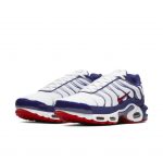 Nike Air Max Plus White Red Blue