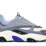 Dior B22 White Blue
