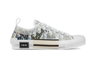 Dior B23 Low Top Alex Foxton Oblique