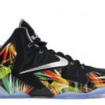 Nike LeBron 11 Everglades